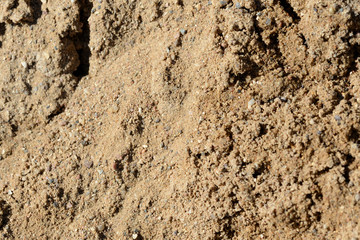 Texture of sand. Construction sand close up background