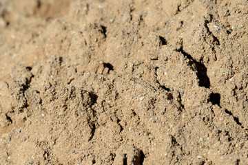 Texture of sand. Construction sand close up background