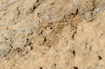 Texture of sand. Construction sand close up background