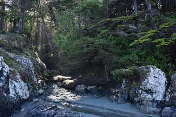 beginning of a mysterious trail