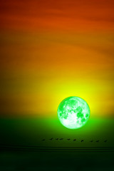 Obraz na płótnie Canvas super egg moon back on silhouette plant and trees on night sky