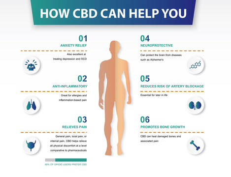 how cbd can help you,effect on body,vector infographic on white background.