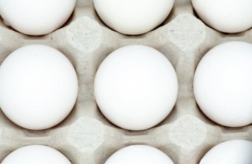 White eggs in a carton box closeup, healthy food concept, Easter concept