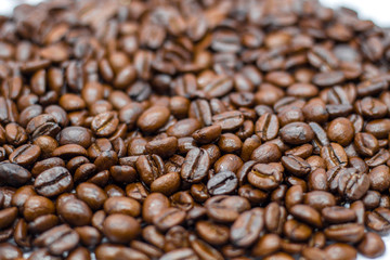 Coffee beans on white background