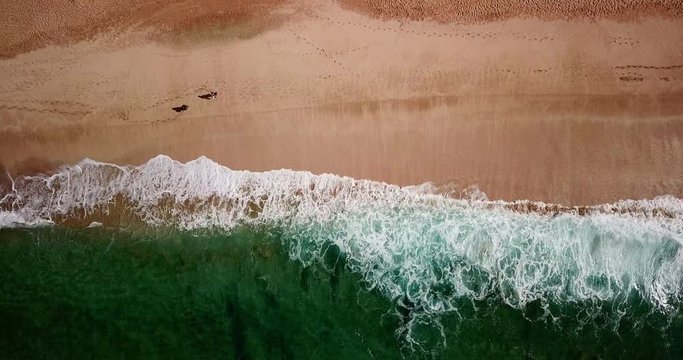 Aerial: Green Ocean & Gentle Waves on Sandy Beach with People Walking in Oahu, Hawaii