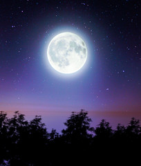 Fototapeta na wymiar Scene of the Moon above the forest,3d rendering