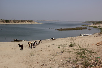 Chutiari Lake in Sindh, Pakistan 