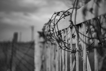 barbed wire fence, war, postapocalypse