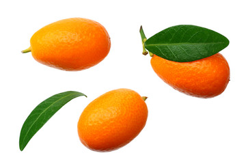 Cumquat or kumquat with leaves isolated on white background. top view