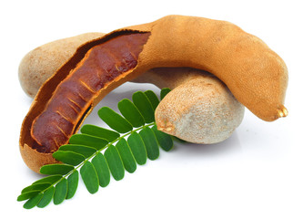fresh tamarind fruits and leaves isolated on white