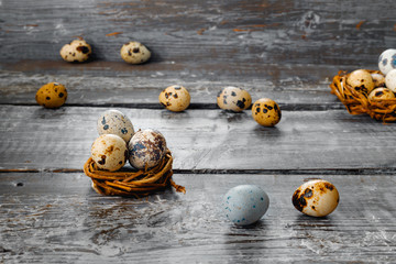 Fresh quail eggs in  rustic barn waiting for  happy Easter