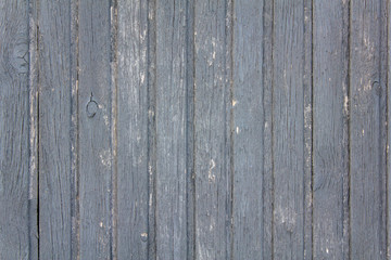 old wooden gray fence made of planks with peeling paint, cracks and white spots close up. vertical lines. rough surface texture