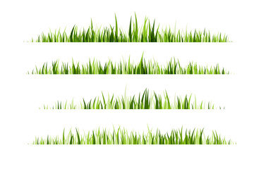 Green grass horizontal borders