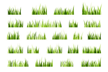 Green grass dividers collection