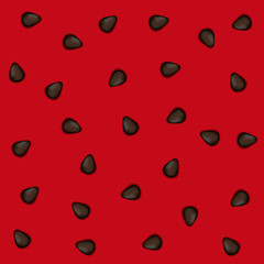 Watermelon pattern. Vector seamless background.