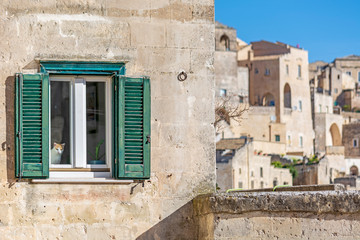 Cat at window in Matera, Basilicata, Itay
