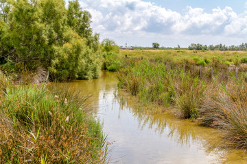 Regional Nature Park of the Camargue