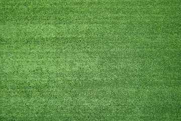 Green grass background