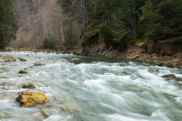 Rapid mountain river with a strong current in the early spring. Rapid Carpathian River with a strong current in the early spring.