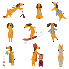 Purebred Brown Dachshund Dog Set, Funny Playful Pet Animals Cartoon Characters in Different Situations Vector Illustration