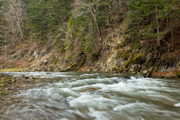 Rapid mountain river with a strong current in the early spring. Rapid Carpathian River with a strong current in the early spring.