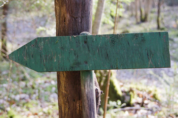 wooden blank sign in forest