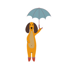 Purebred Brown Dachshund Dog Wearing Rubber Boots Standing Under Umbrella, Funny Playful Pet Animal Cartoon Character Vector Illustration