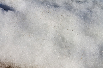 Obraz premium texture of spring melted snow