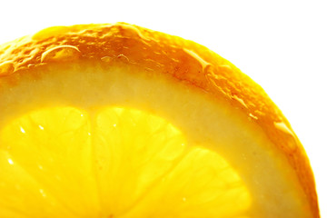 Lemon slice with a water droppings. Macro studio shot