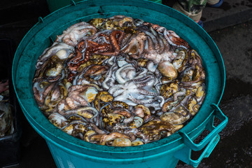 Fresh seafood market in Africa