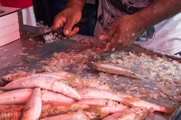 Fresh fish at tropical island market