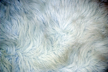 Fluffy texture of  fur for background, design.