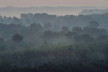 Mystical view from top on forest under haze at early morning. Mist among layers from tree silhouettes in taiga under predawn sky. Calm morning atmospheric minimalistic landscape of majestic nature.
