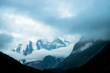 Low cloud before huge glacier. Giant snowy rocky mountains under cloudy sky. Thick fog in mountains above forest at early morning. Impenetrable fog. Dark atmospheric landscape. Tranquil atmosphere.