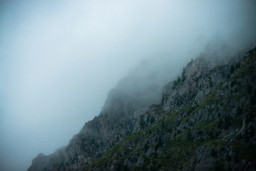 Ghostly giant rocks with trees in thick fog. Mysterious huge mountain in mist. Early morning in mountains. Impenetrable fog. Dark atmospheric eerie landscape. Tranquil mystic atmosphere of wilderness.