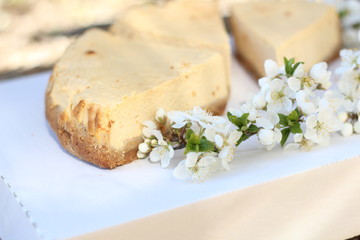 three pieces of cheesecake with a sprig of flowering tree on a white background