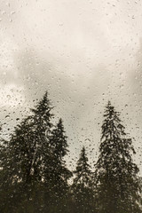 Beautiful view of fir trees from a cabin window in the mountains, covered in rain drops, and rain clouds in summer
