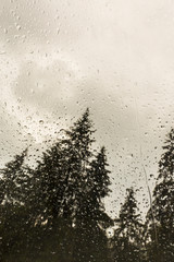 Beautiful view of fir trees from a cabin window in the mountains, covered in rain drops, and rain clouds in summer