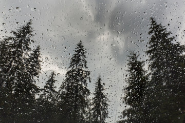 Beautiful view of fir trees from a cabin window in the mountains, covered in rain drops, and rain clouds in summer