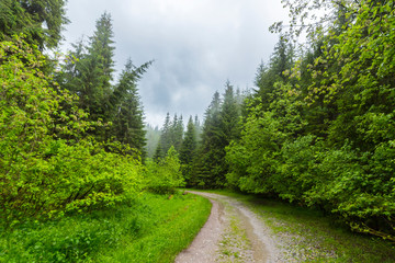 Mountain scenery in the Alps in summer, with green forests, on a rainy day