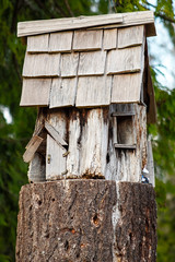 birdhouse on tree