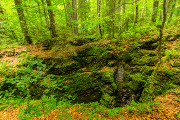 Mountain scenery in the Alps in summer, with green forests, on a rainy day