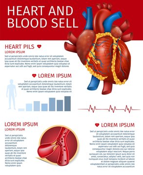 Realistic Heart and Blood Sell Banner with Diagram
