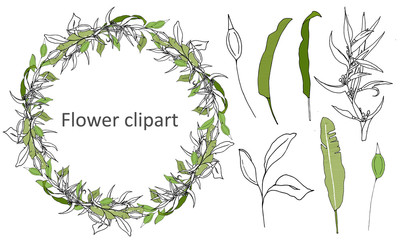 Set of green floral patterns, ornaments. Vector wreath of green leaves and contour flowers for decoration. The concept of spring ornament.
