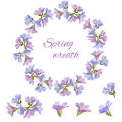 Spring set of floral patterns, ornaments and vector wreaths of delicate violet flowers to decorate cards, design greetings