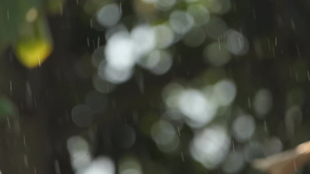 Falling Raindrops In Slow Motion On green nature background