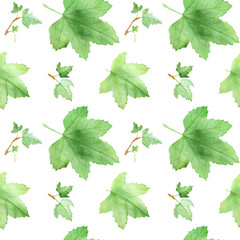Currants leaf, pattern