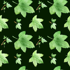 Currants leaf, pattern