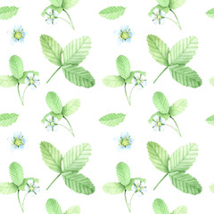 Sweet summer berries