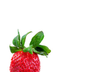 One harvest Strawberry White Background. Representing Organic Products And Natural